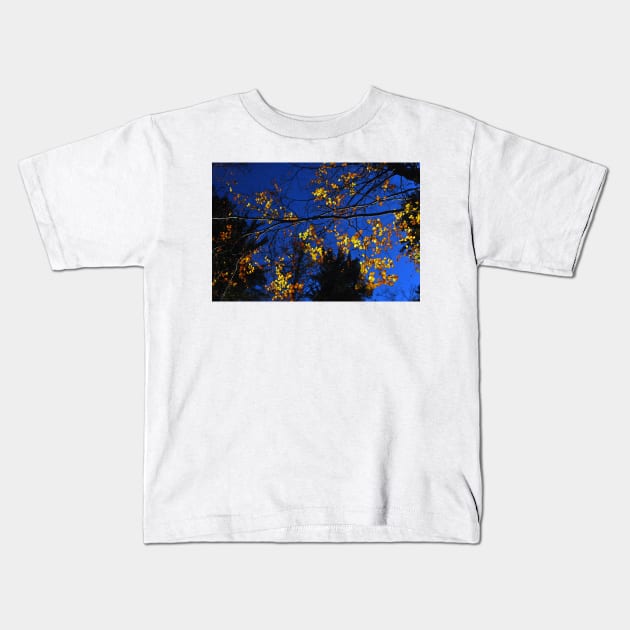 autumn colors Kids T-Shirt by bogfl